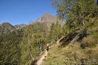 003 Sentiero 108 - Rifugio Benigni